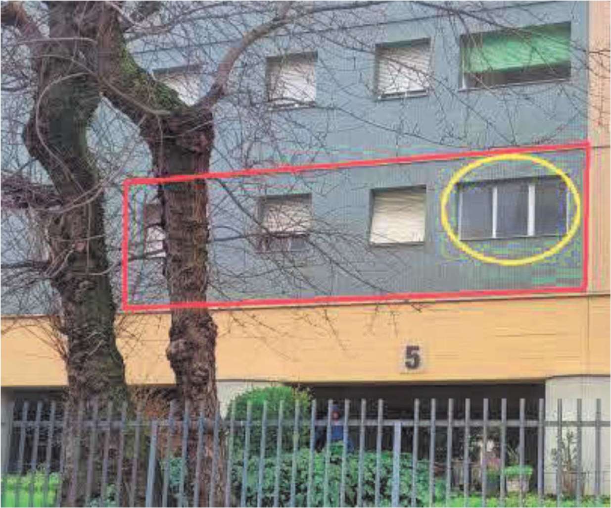 foto prevalente