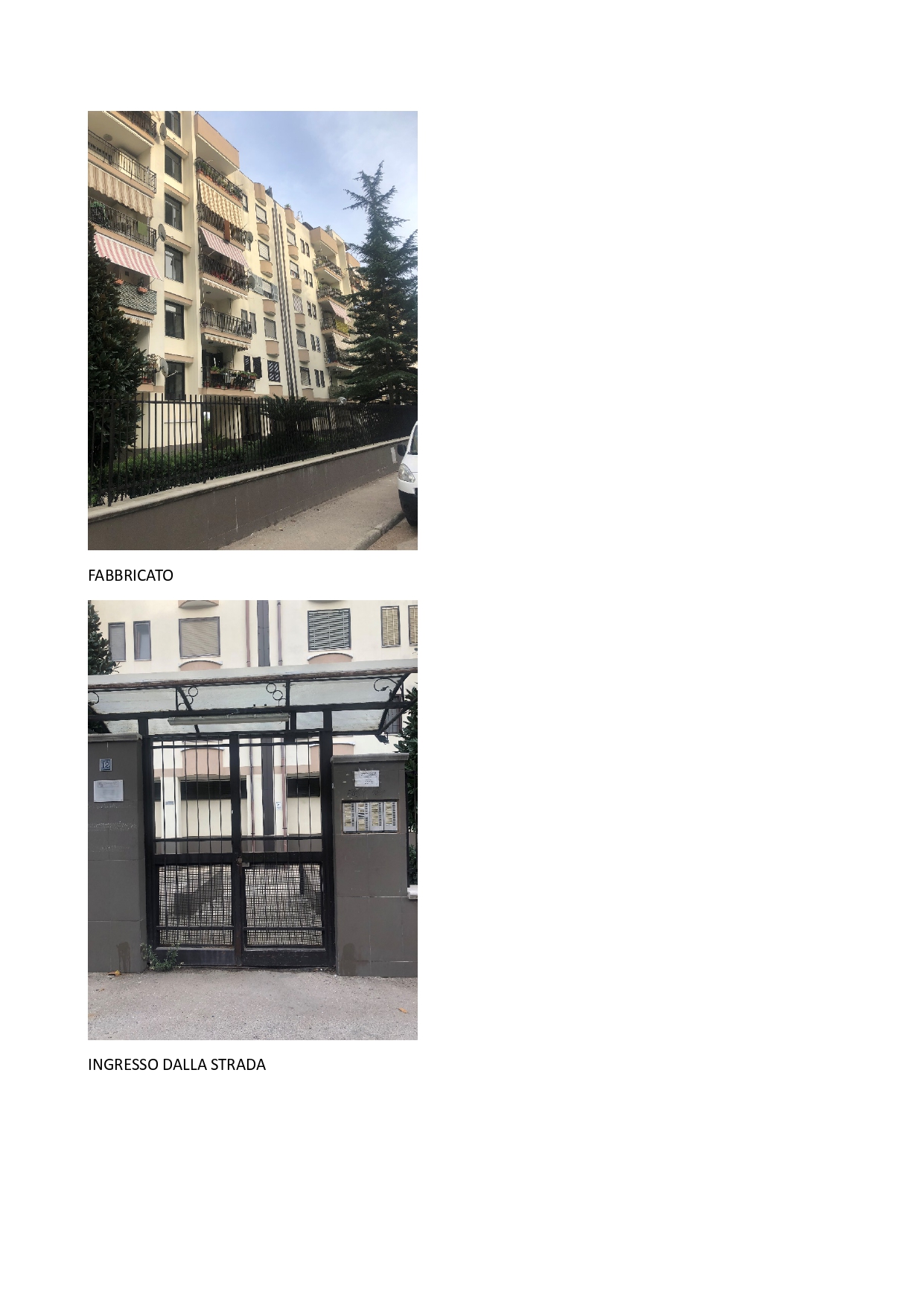 foto prevalente